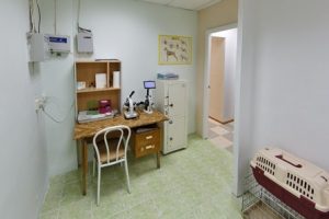 круглосуточная ветеринарная клиника новосибирск
