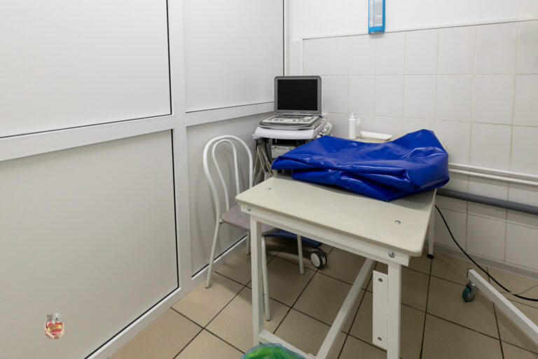 Современное ветеринарное оборудование в рентген кабинете клиники 'Друг' в Бердске.